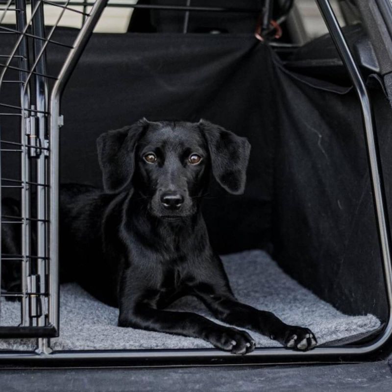 HUNDLANDS THUNDRA hundeseng