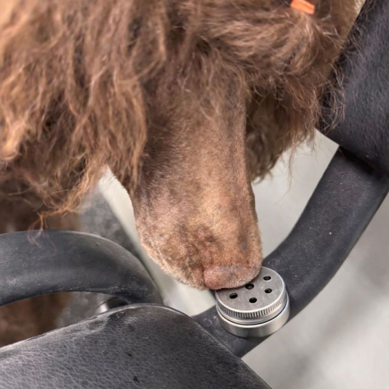 Nosework magnetboks