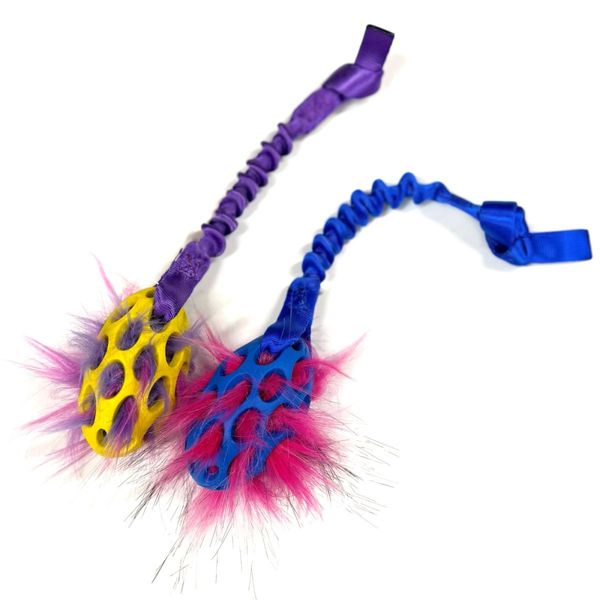 Doggie-zen kampleke med Hol-ee football