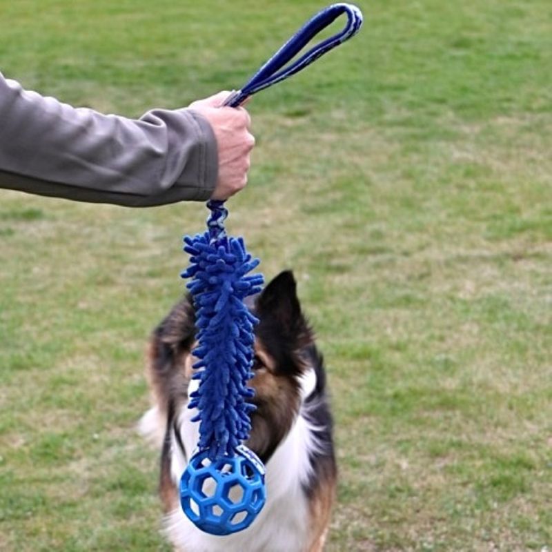 Zayma dogsport mop med hol-ee roller