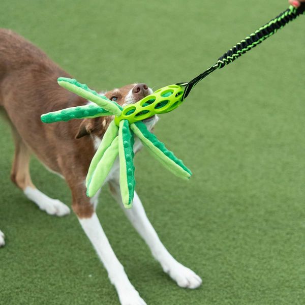 Paws Made Blekksprut med avlang ball