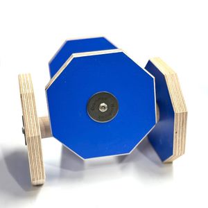 Hovedbilde Internasjonal apport til lydighet