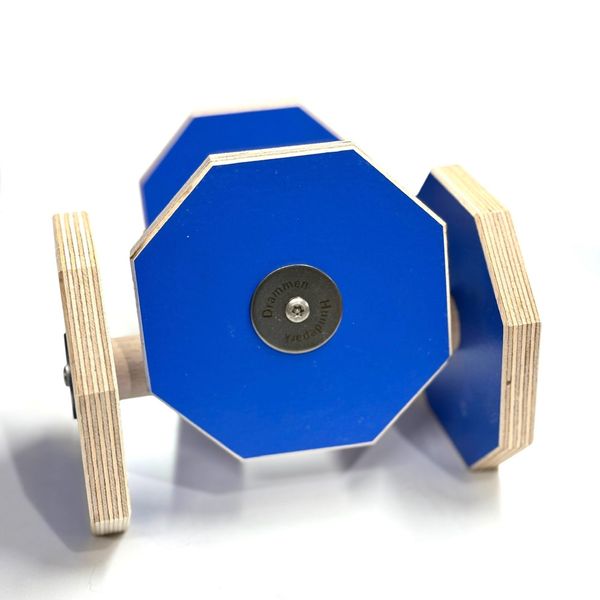 Internasjonal apport til lydighet