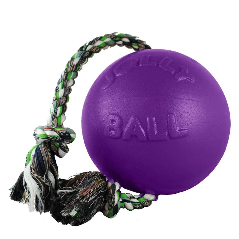 Jolly Pets Romp-n-roll