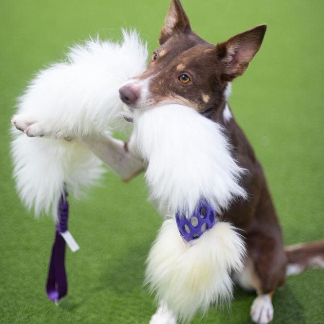 Hovedbilde Doggie-Zen Lang jaktleke med saueskinn og hol-ee ...