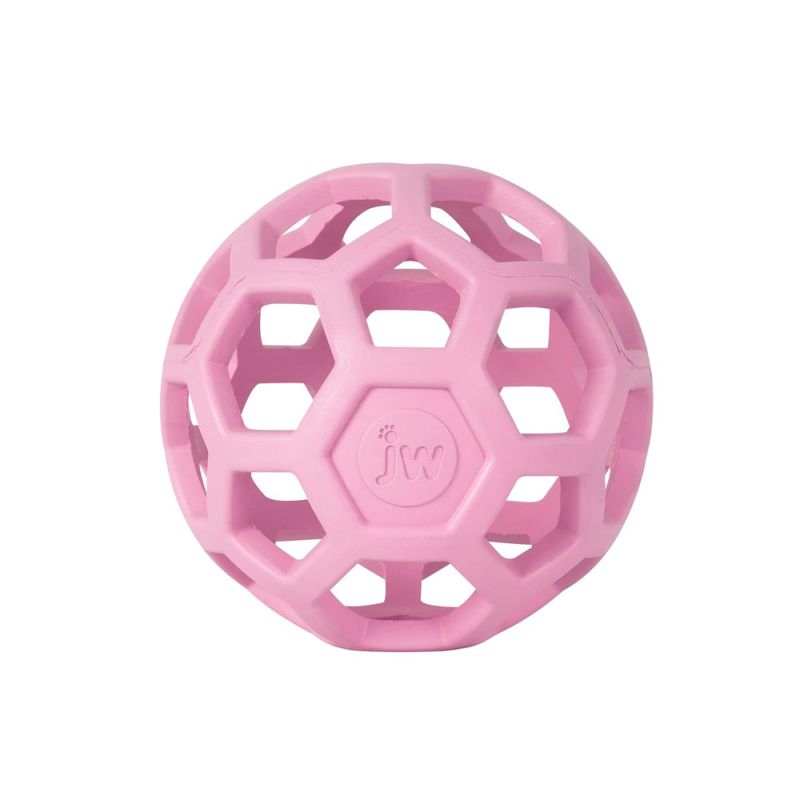 Hol-ee Roller nettingball