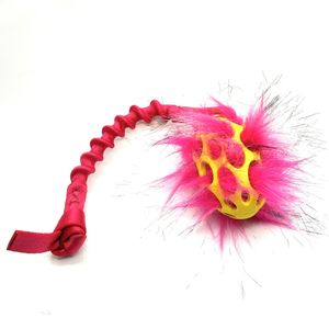 Hovedbilde Doggie-zen kampleke med Hol-ee football