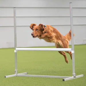 Hovedbilde &Aring;pent hinder i rustfritt st&aring;l