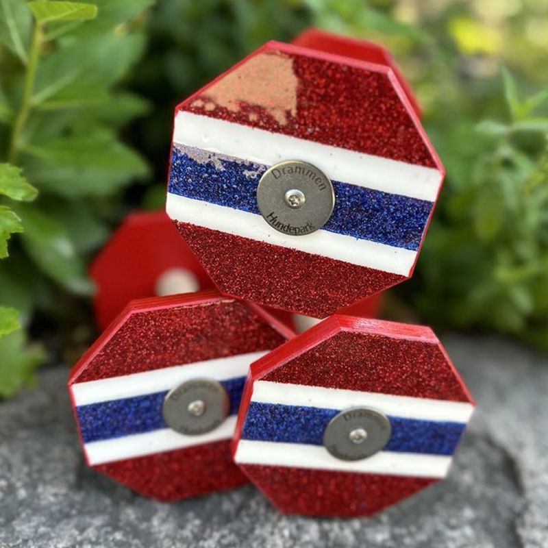 Norgesapport