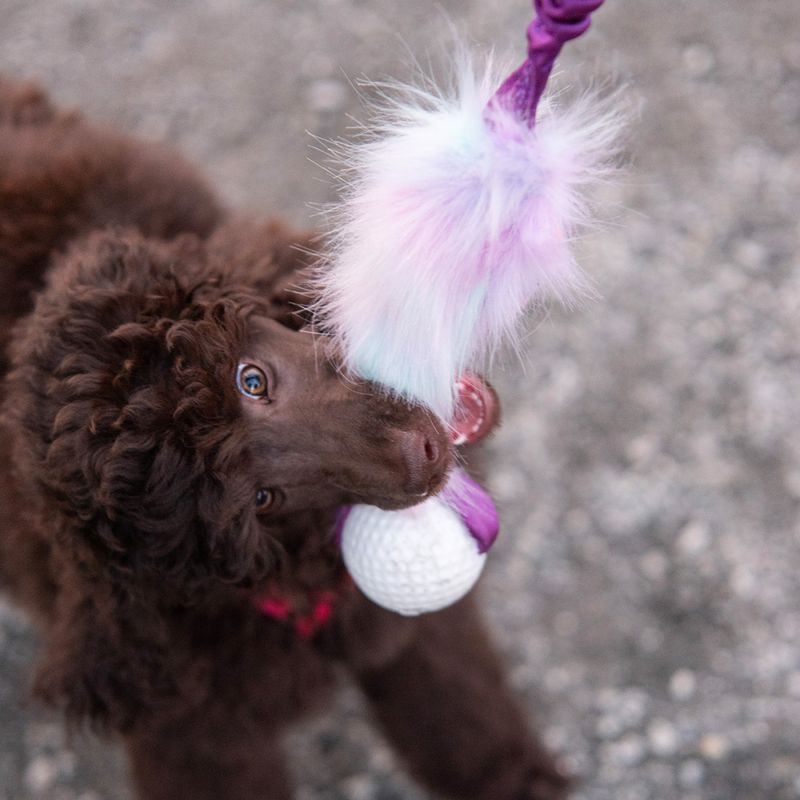Doggie-zen Myk Golfball med fuskepels
