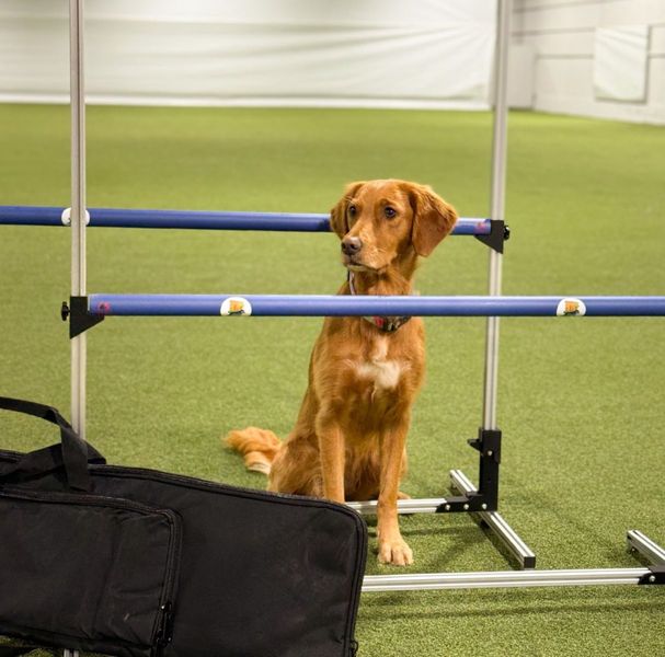 Aluminiumshinder 2 pk med bag