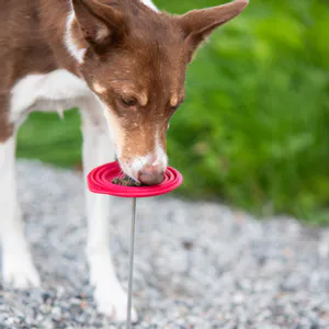 Hovedbilde Reward-stick i galvanisert st&aring;l