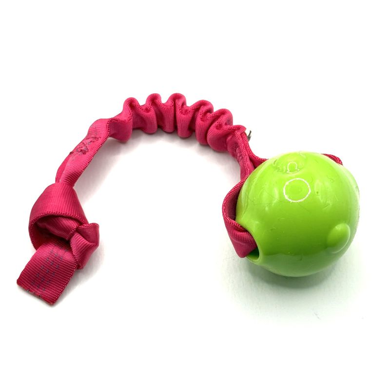 Doggie-zen kampleke med amazing pipeball