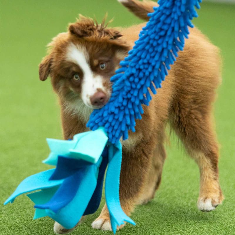 Dog's Craft Tugger Obedience