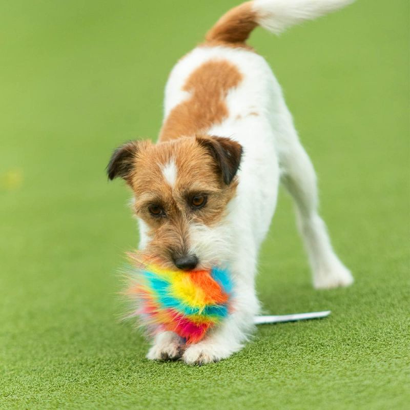 Doggie-zen Kampleke med pip eller knittring