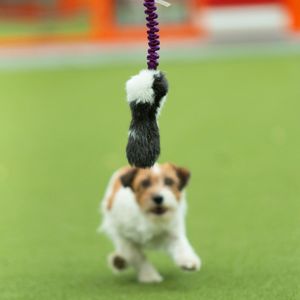 Hovedbilde Doggie-zen Kampleke med kanin