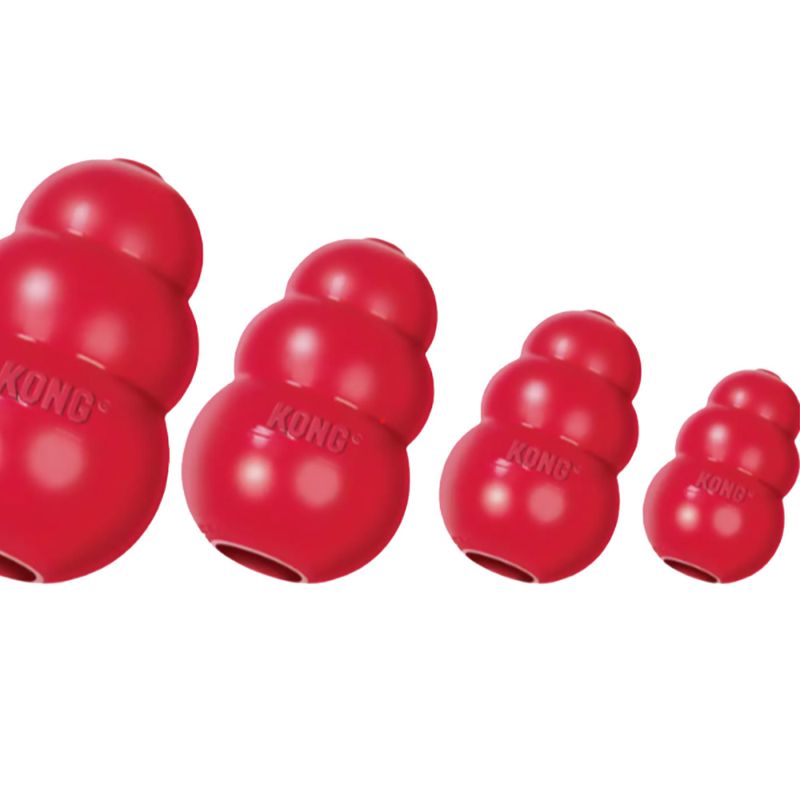 KONG Classic