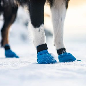 Hovedbilde Non-stop Long distance bootie