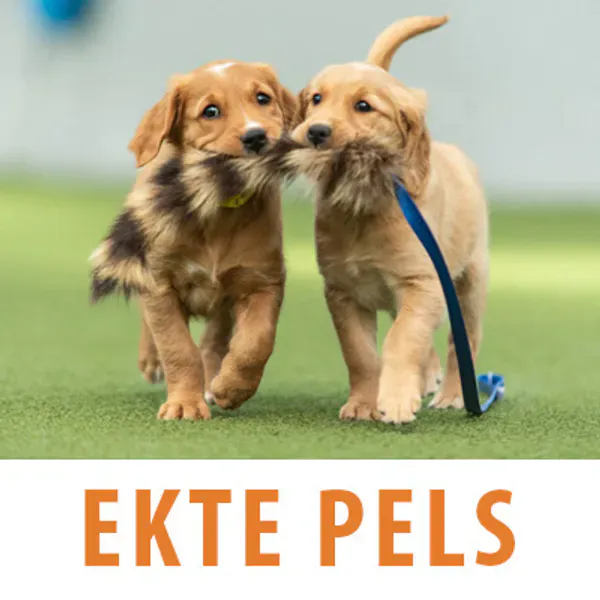 ekte pels leke til hund