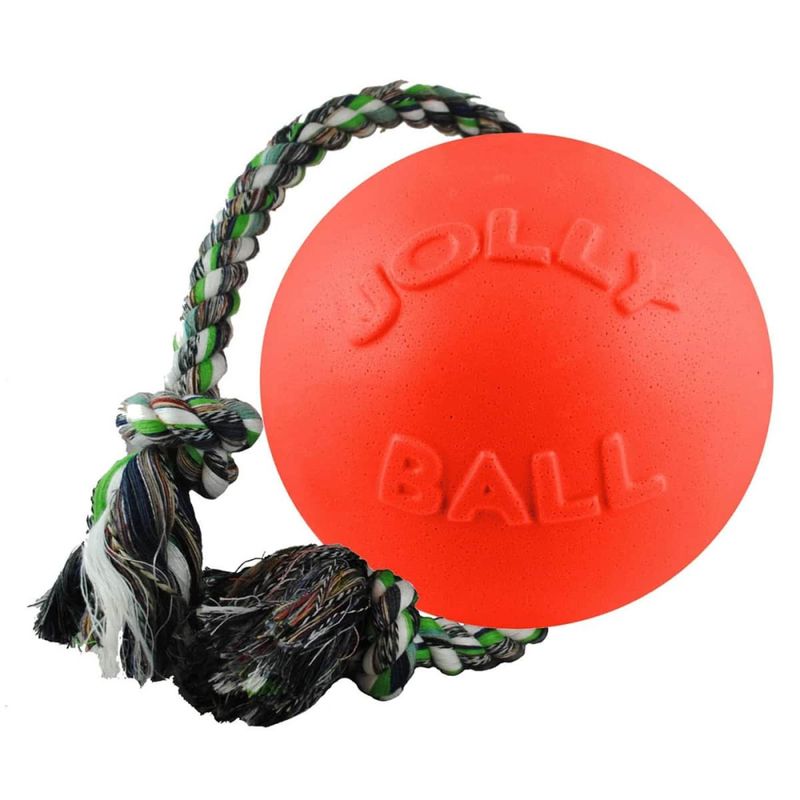 Jolly Pets Romp-n-roll