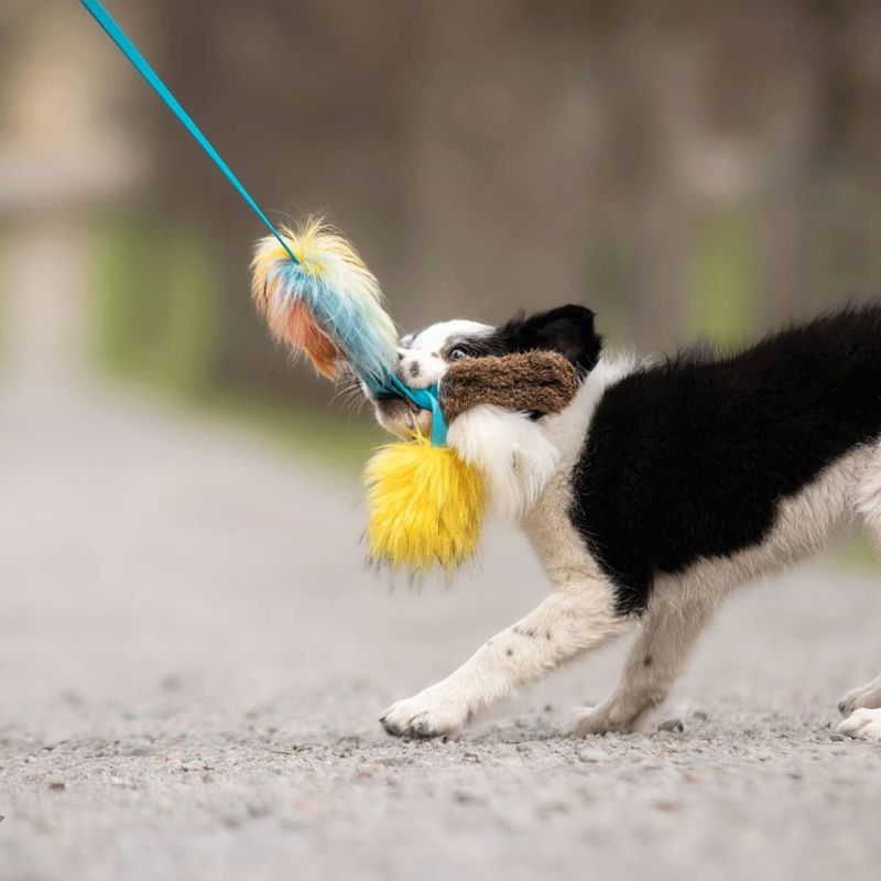 Doggie-Zen Liten blekksprut jaktleke med sau og kanin