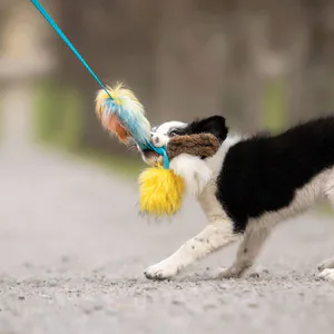 Hovedbilde Doggie-Zen Liten blekksprut jaktleke med sau og ...