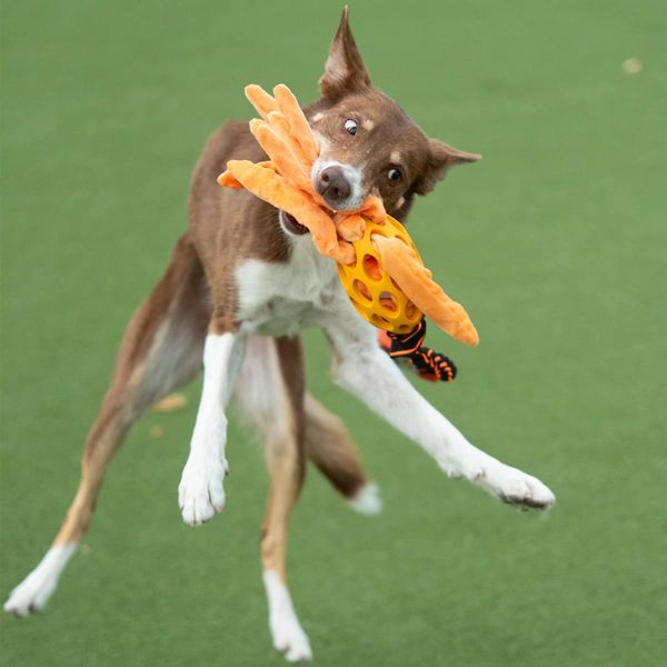 Paws Made Blekksprut med avlang ball