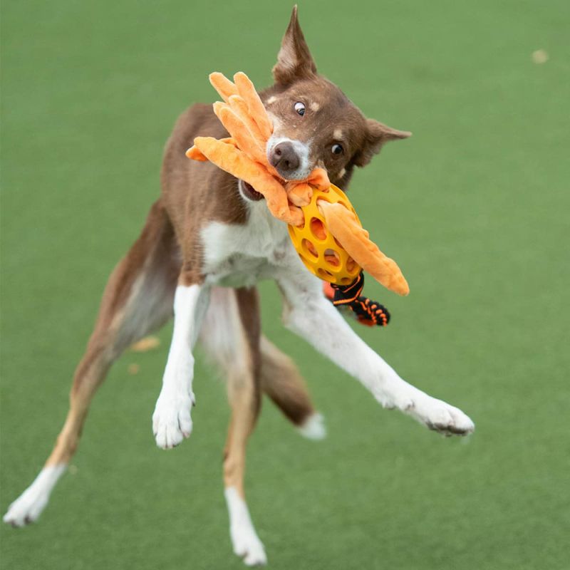 Paws Made Blekksprut med avlang ball