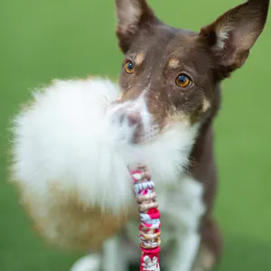Hovedbilde Zayma  Winter Kampleke med saueskinn
